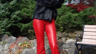 Mistress in Leather Pants III