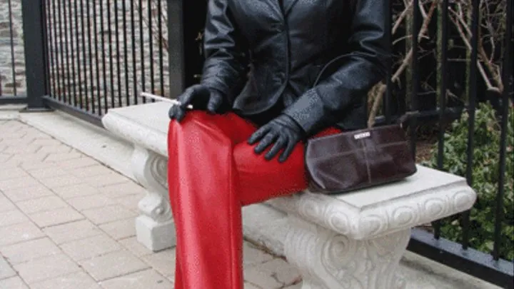 Smoking Leather Mistress 12