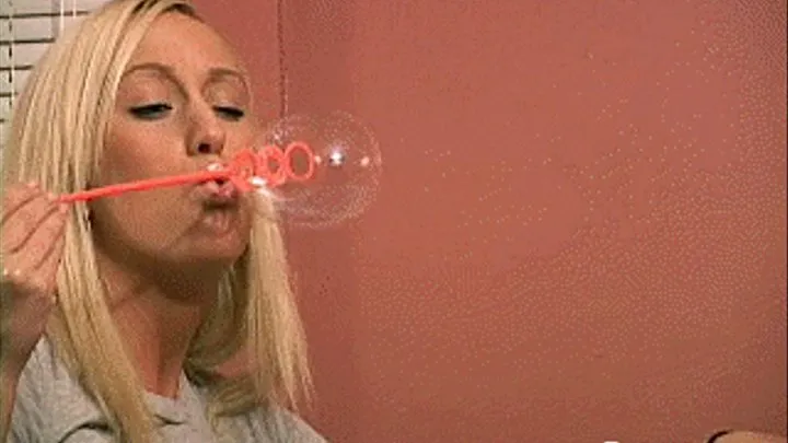 Torries Bubbles `