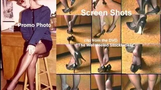 The Well-Heeled Stockbroker 1