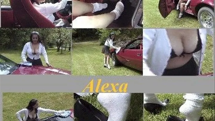 Busty Alexa Polishes her Car