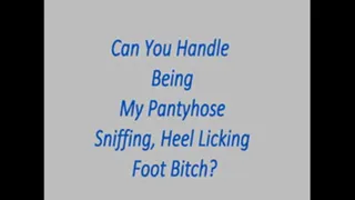 Be My Pantyhose Sniffing, High Heel Licking Bitch