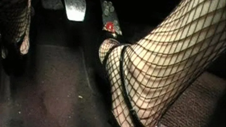 Priscilla 1 FAST MILF in Fishnets and Heels