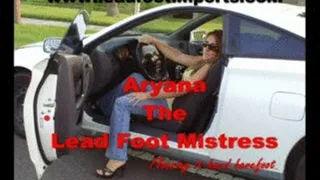 Aryana Flooring it Barefoot