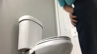Toilet Catastrophe
