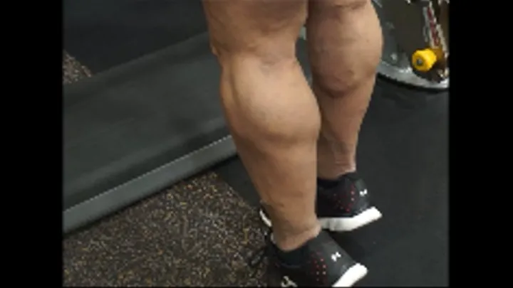 Gym Step Calf Raises