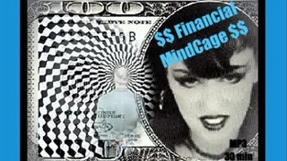 FINANCIAL MindCage