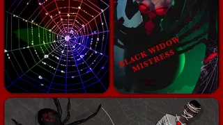 BLACK WIDOW MISTRESS