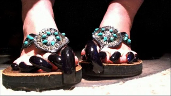 10.30.2012 Arinda Feet: Freshly Done