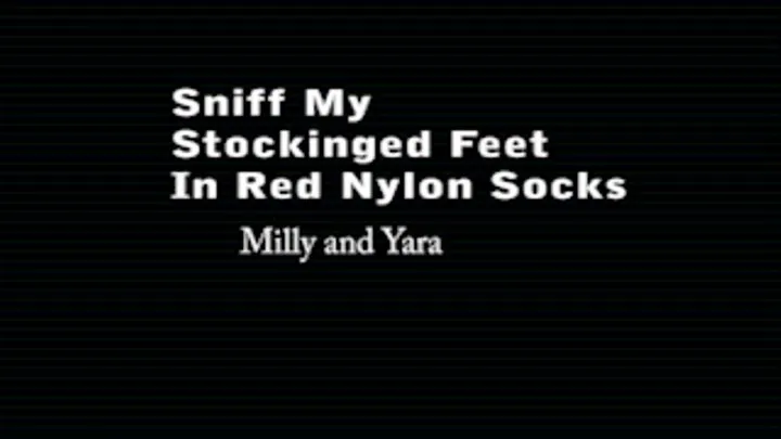 SNIFFING IN MY STOCKINGED RED SILK NYLON FEET