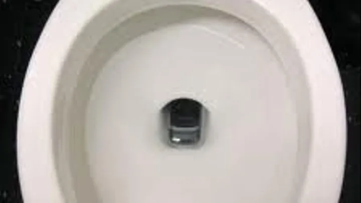 Daily Task 68 Toilet Humiliation