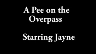 A Pee on a Overpass
