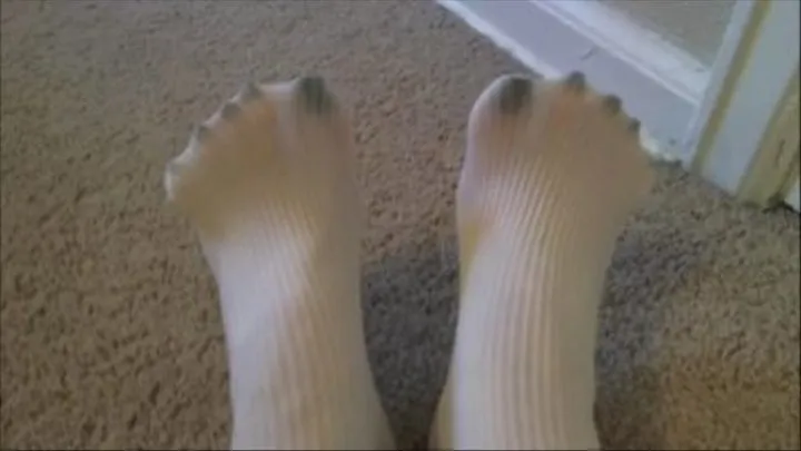 Toes Tease Ribbed Pantyhose JOI