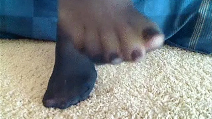 Sexy Foot POV Arch Fuck Tease in Panty Hose