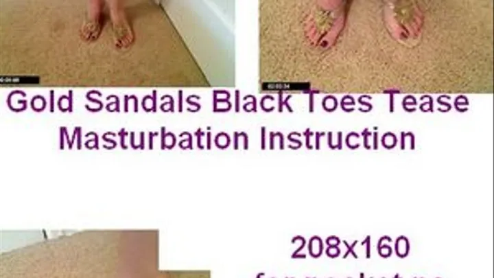 Gold Sandals Black Toes for ocket pc