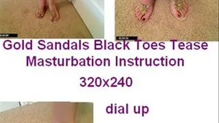 Gold Sandals Black Toes ......... dial up