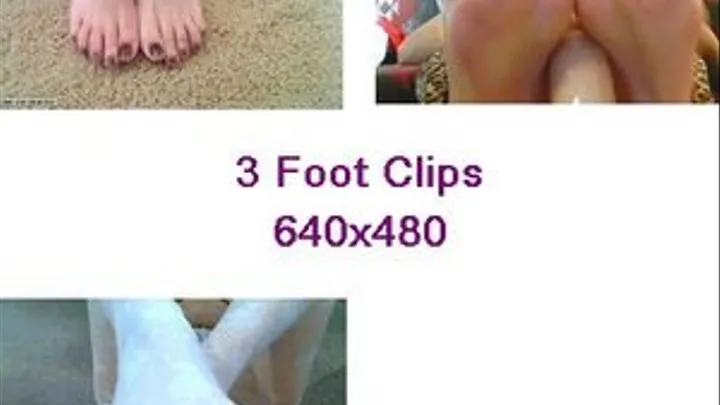 3 Foot Clips