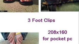 3 foot clips 11-23-09 for pocket pc