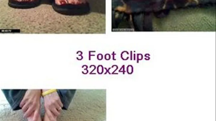 3 foot clips 11-23-09