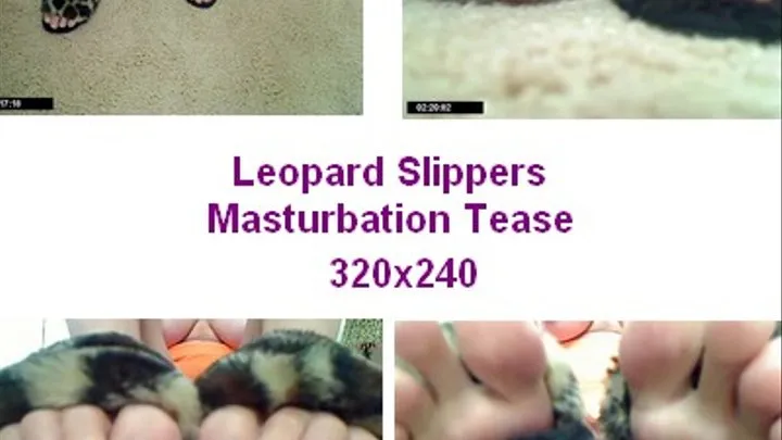 Leopard Slippers Close Up Tease 340x480