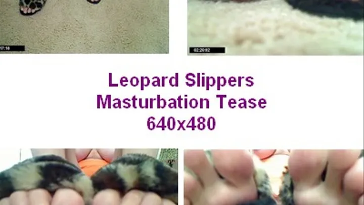 Leopard Slippers Close Up Tease