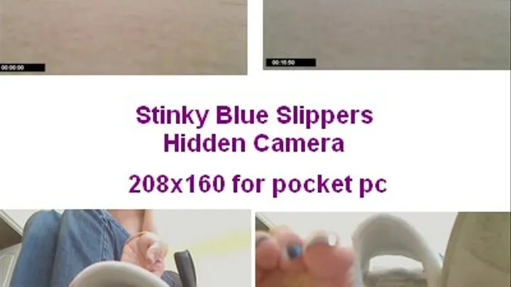 Stinky Blue Slippers for pocket pc