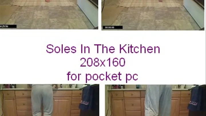 Soles Tease in the Kitchen for pocket pc