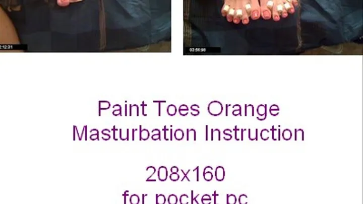 Paint miulf toes orange mast inst for pocket pc