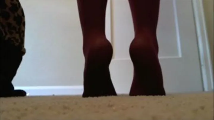 Tiptoes Burgundy Hose Masturbation Instruction