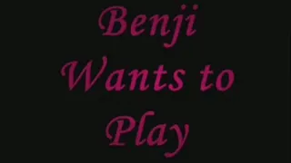 Benji Wants to Play