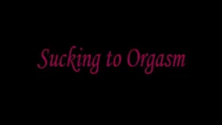 Sucking to Orgasm