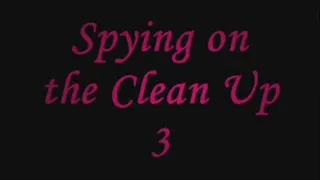 Spying on the Clean Up 3