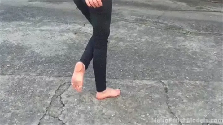 Lick Anita's Dirty Street Feet (6-Part Clip Series - )