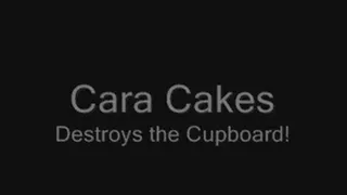 Cara Cakes Destroys!