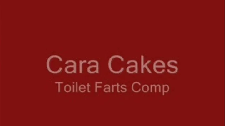 Cara Cakes Toilet Fart Comp