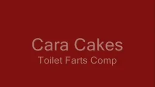 Cara Cakes Toilet Fart Comp