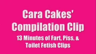 Cara Cakes' Toilet Fetish Compilation