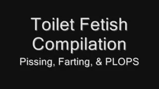 Toilet Fetish Compilation