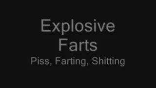 Explosiv-o, Farting, Pissing, Comp