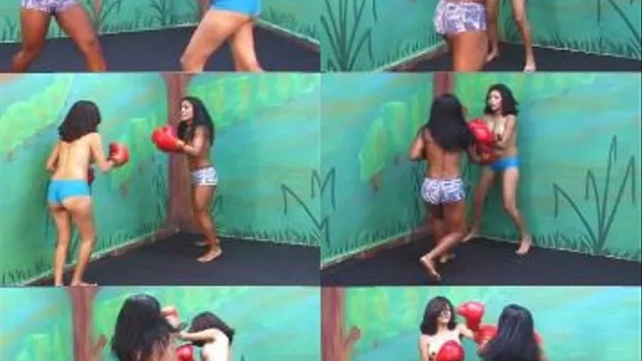 BOXING BETWEEN BRAZILIAN HOTTIES - clip 04