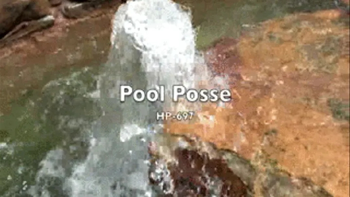 HP-697 Pool Posse