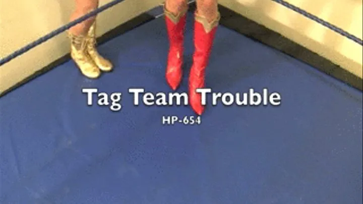 HP-655 Tag Team Terror