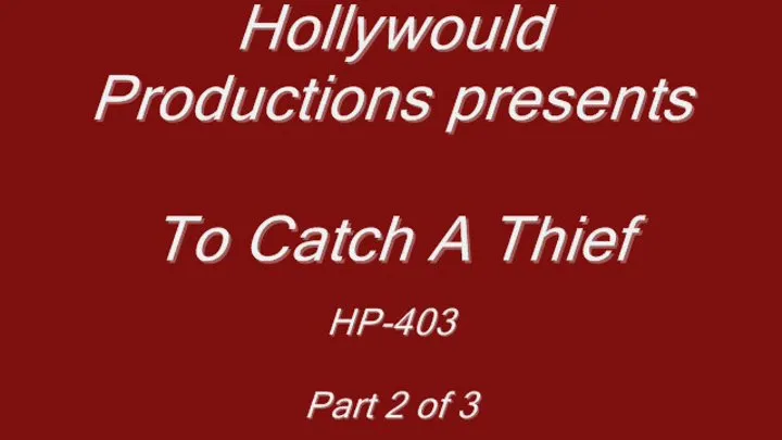 HP-403 To Catch A Theif pt 2
