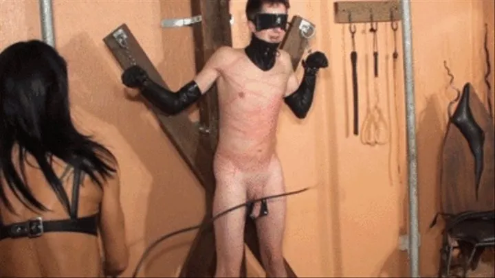 Sadistic Frontal Bullwhipping (Complete Movie)