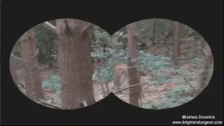 Search & Destroy Down In The Woods - Full Movie