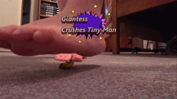 Giantess Crushes Tiny Man