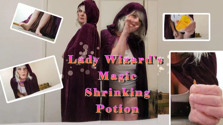 Lady Wizard's Shrinking Potion