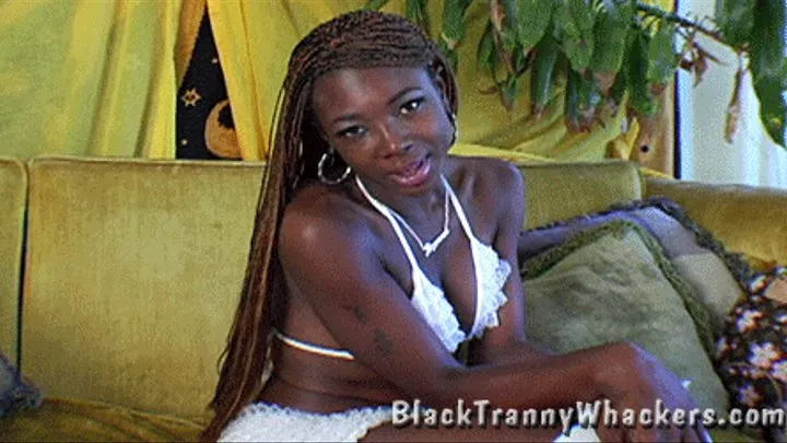 Black Shemale Beauty Aimee Lee Shows Her Hot Transsexual Body!