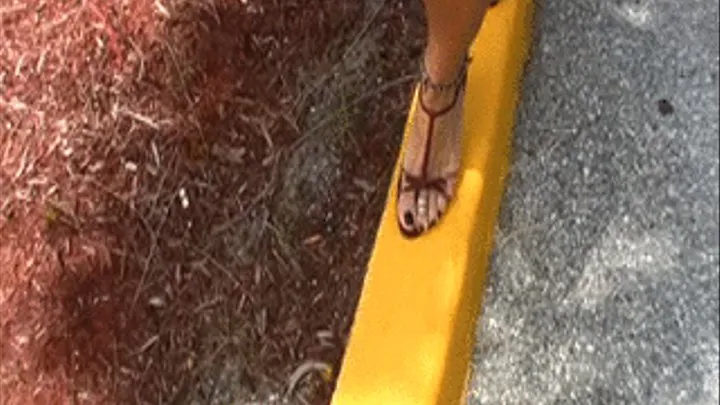 Katie's Perfect Toes And Legs