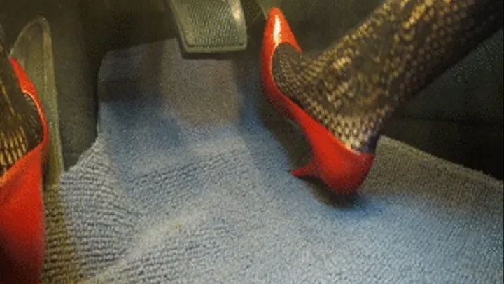 Destiney Red Pepe Fishnets Pumps 5 27